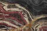 Polished Snakeskin Jasper Slab - Western Australia #221523-1